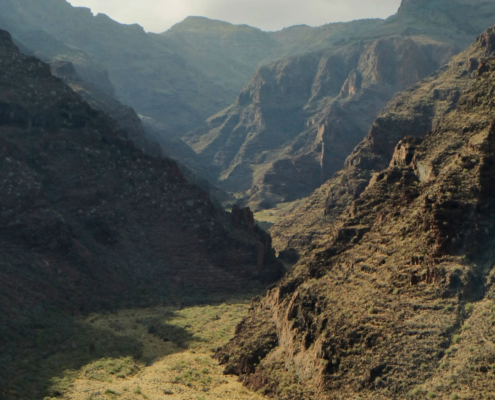 montagne de la gomera avec la vegetation