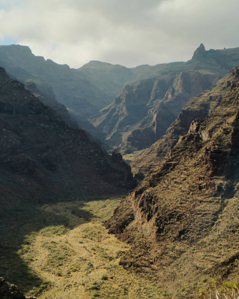 montagne de la gomera avec la vegetation