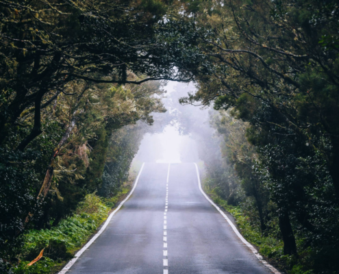 foret de la Gomera avec une route et du brouillard