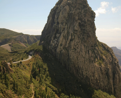 Rocher de la Gomera avec de la vegetation