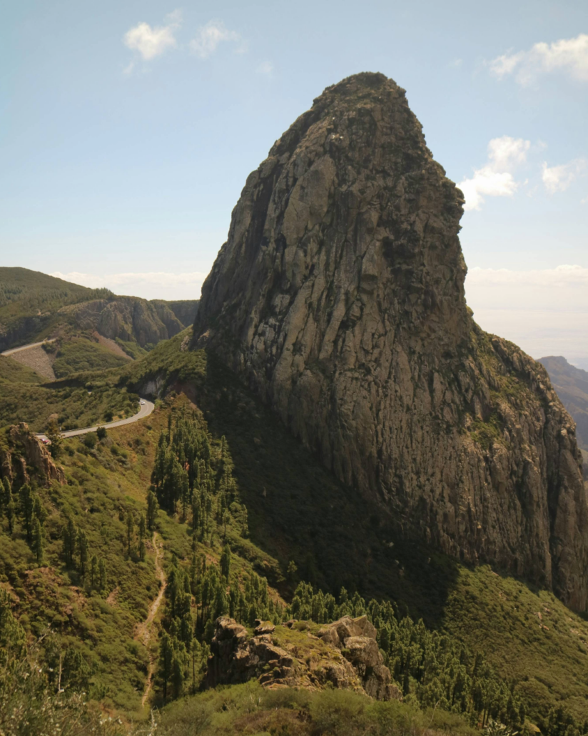 Rocher de la Gomera avec de la vegetation