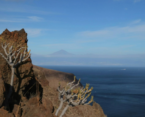 vue sur le teide depuis une montagne de la Gomera