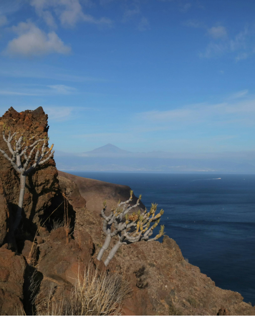 vue sur le teide depuis une montagne de la Gomera