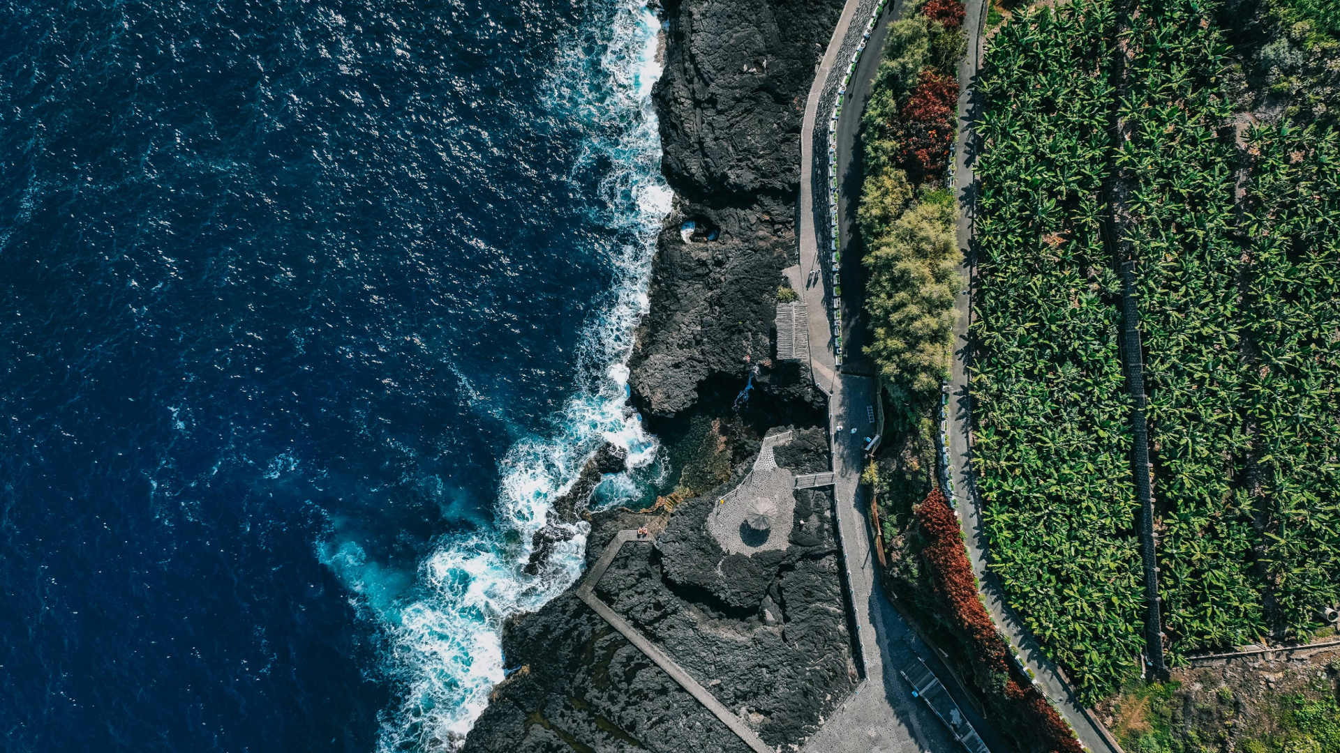 Image de la mer et de la cote avec les plantations à la palma