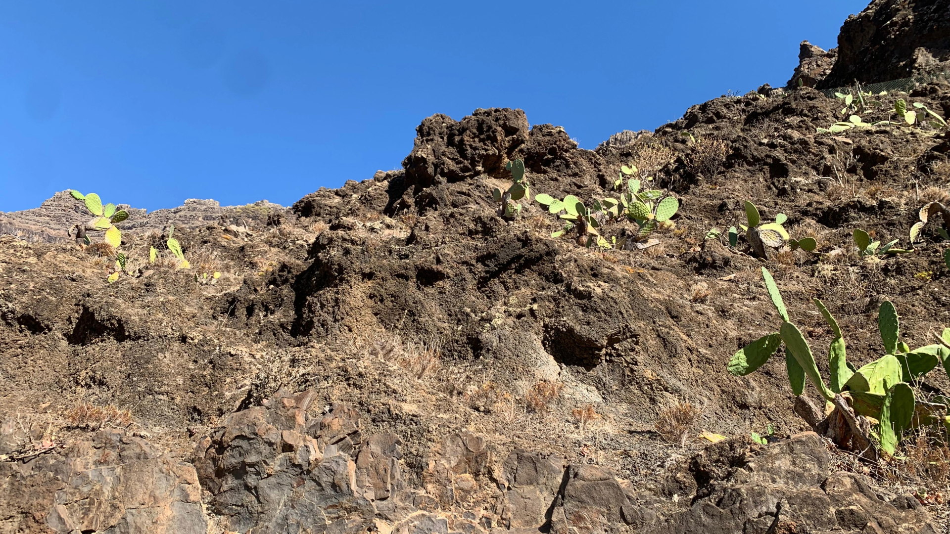 montagne à valle gran rey de la gomera avec des cactus