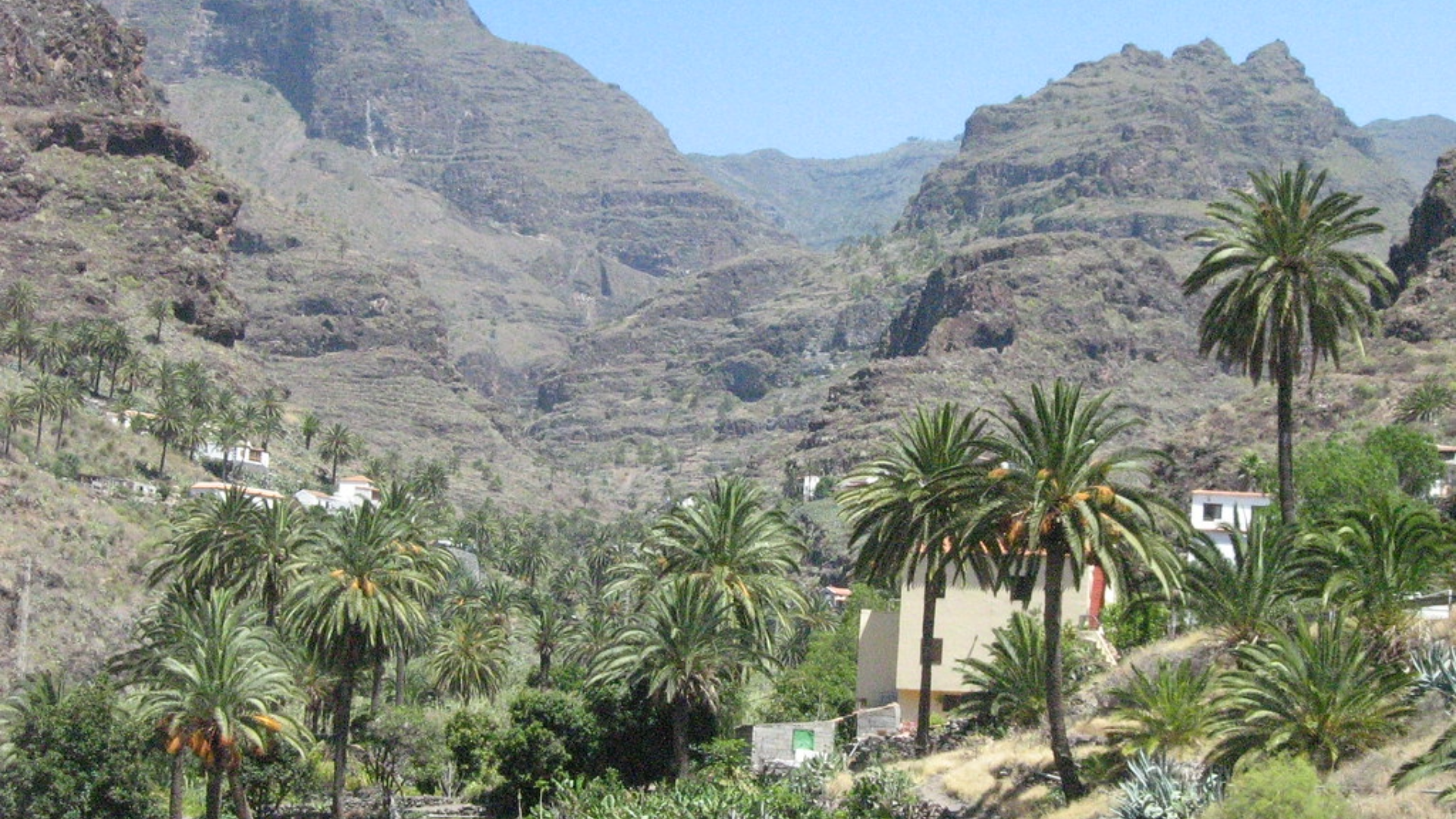 montagne verte de la gomera vec des palmiers 