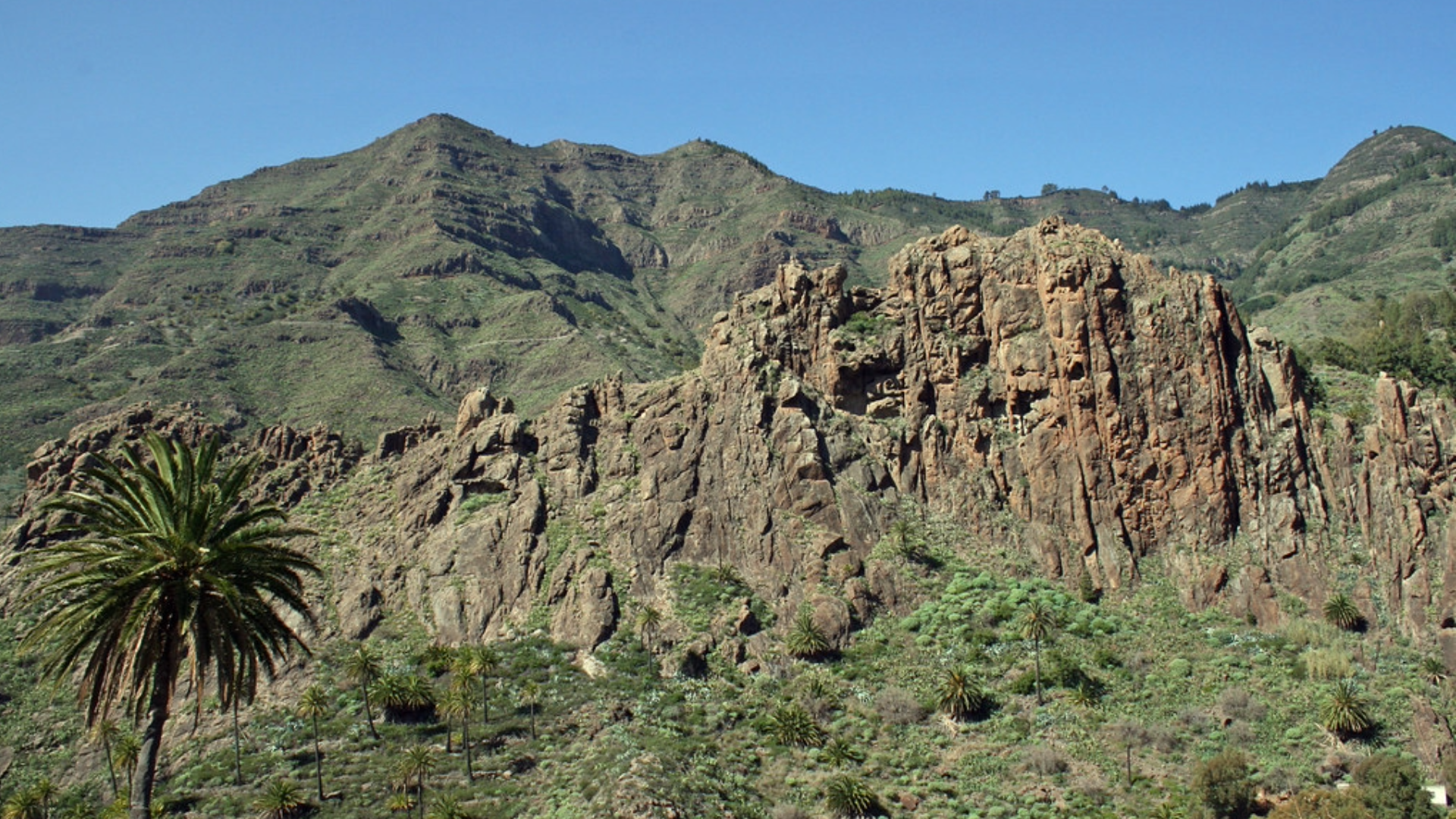 montagne verte de la gomera 